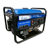 Бензогенератор ТСС SGG 3000EF
