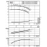 Циркуляционный насос с сухим ротором в исполнении Inline с фланцевым соединением Wilo CronoTwin-DL 125/270-11/4