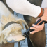 Клещи-молоток для подковки лошадей (кузовных работ) KNIPEX KN-5500300SB