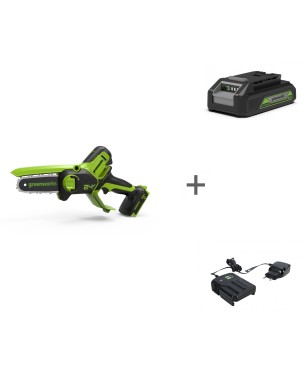 Пила цепная аккумуляторная GREENWORKS G24MCS10 24V + АКБ 2 Ач и ЗУ