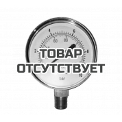 Манометр Pedrollo MR 10