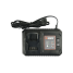 Зарядное устройство 20V SENIX CHQX2-M-EU X2 6А