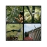 Черенок алюминиевый телескопический L 220-400см OneClick FISKARS