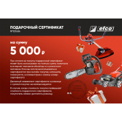 Подарочный сертификат EFCO 5000 руб.