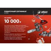 Подарочный сертификат EFCO 10000 руб.