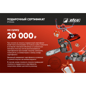 Подарочный сертификат EFCO 20000 руб.
