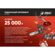 Подарочный сертификат EFCO 25000 руб.