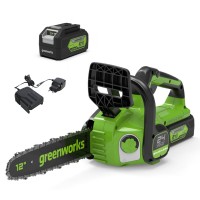 Цепная пила аккумуляторная 24V GREENWORKS G24CS25 c АКБ 8 Ач и ЗУ