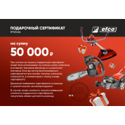 Подарочный сертификат EFCO 50000 руб.