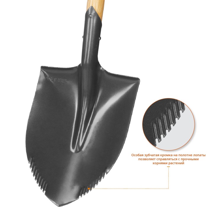 Автомобильная лопата ЗУБР Профессионал 4-39506, БЕРКУТ, 228 х 173 х 800, полотно 1, 6мм с зубцами, закалено, дерев.черенок высш. сорт с рукояткой