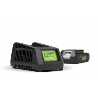 Зарядное устройство Greenworks G24C