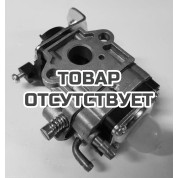 Карбюратор Champion AG352