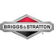 Выпускной клапан Briggs & Stratton 211119S