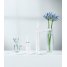 Смеситель для раковины GROHE Eurodisc Joy с донным клапаном, низкий излив, белая луна 