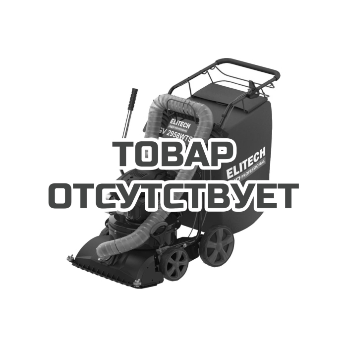 Пылесос садовый бензиновый ELITECH GV 2958WTS E1608.008.00 HD 209898