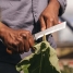 Нож садовый Fiskars X-series K82