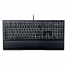 Клавиатура Razer Ornata V2