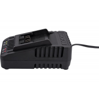 Зарядное устройство WORX Professional WA3924