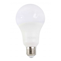 Лампа светодиодная Ресанта LL-R-A80-20W-230-6K-E27