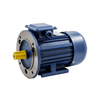Электродвигатель ТМ БЭЗ АИР 100L2 IM2081 220/380