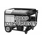Бензиновый сварочный генератор TSS PRO GGW 3.0/250E-R