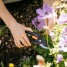 Набор сучкорез + секатор FISKARS L28+P26 Set