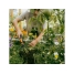 Культиватор FISKARS Grebber OneClick