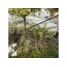 Грабли универсальные FISKARS OneClick