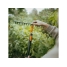 Грабли мет. для грунта 14 зубьев FISKARS OneClick