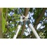 Сучкорез Gardena EasyCut 680B