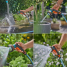 Стартовый набор распылителя Gardena Classic Multifunctional