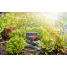 Дождеватель осциллирующий Gardena AquaZoom compact