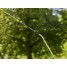 Опрыскиватель ранцевый 12 л Gardena