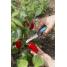 Нож для сбора овощей Gardena VeggieCut