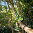 Пила цепная аккумуляторная GREENWORKS GD24CS15 24V без АКБ и ЗУ мини