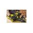 Цепная бесщеточная пила Ryobi RY18CSX30A-0 18 В Цепная бесщеточная пила Ryobi RY18CSX30A-0 18 В