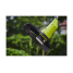Триммер Ryobi MAX POWER RY36LT33A-120 36В