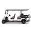 Гольфкар STEVIMAN GOLFER 6